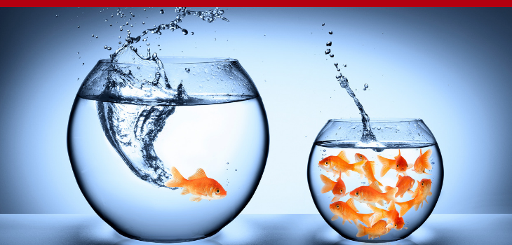 Your Comfort Zone Is Killing Your Success (And What You Can Do Right Now To Change It) with Sterling Hawkins