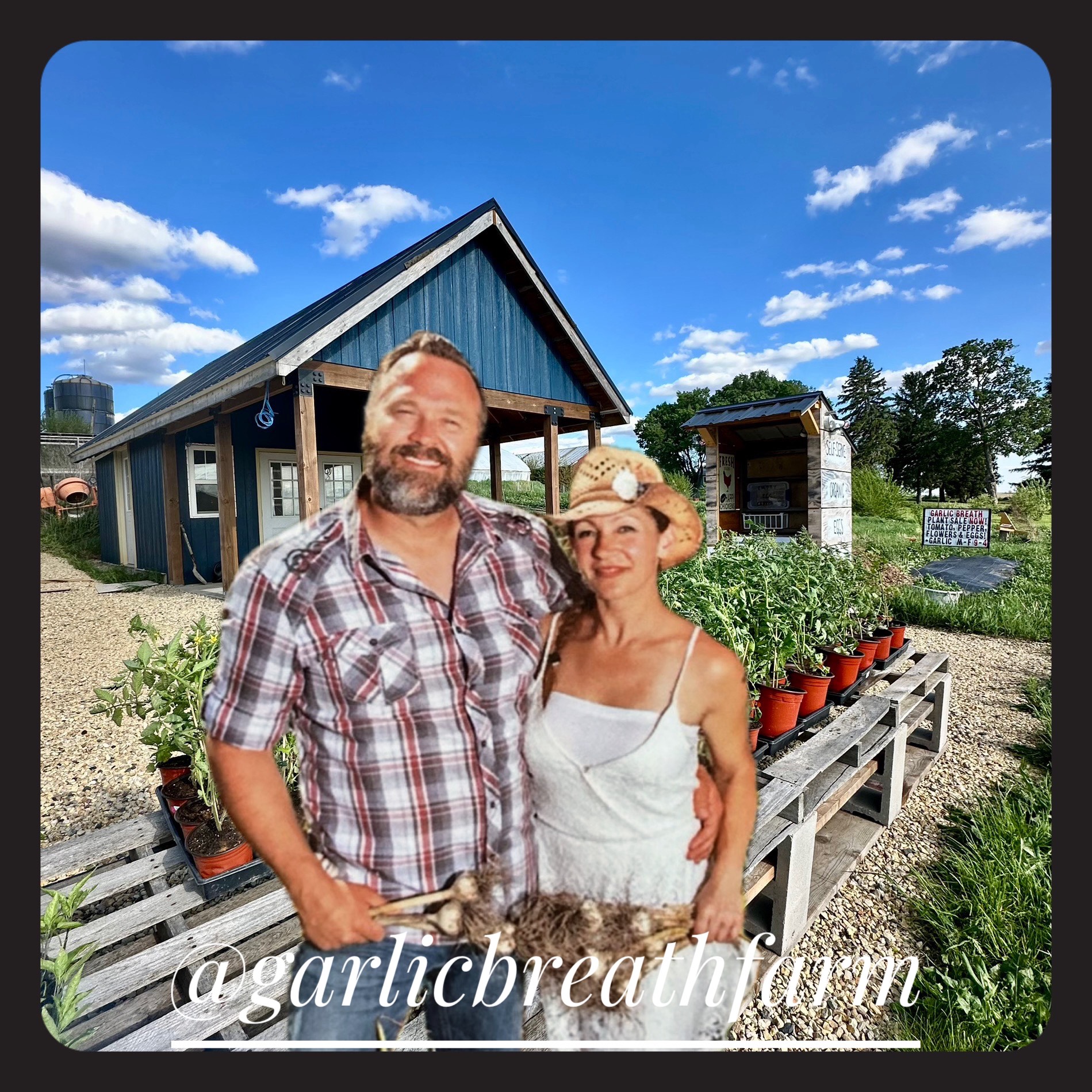 cover of episode 471 Sharon Pferschy Has Garlic Breath