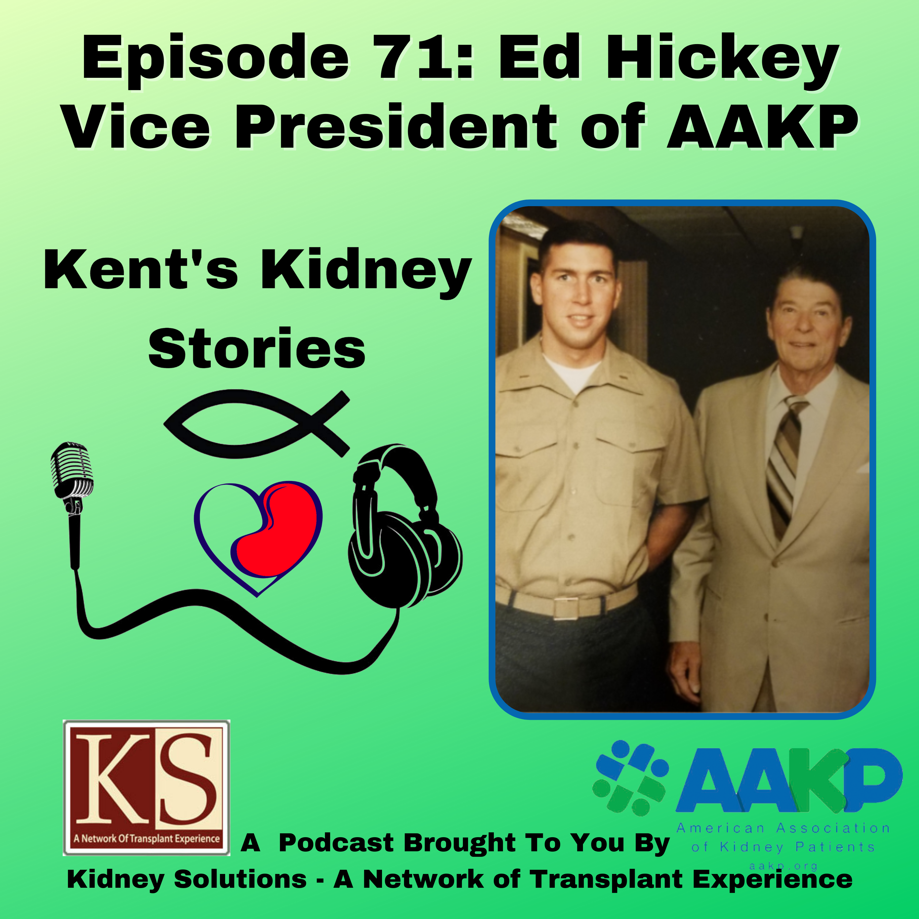 Kent\'s Kidney Stories