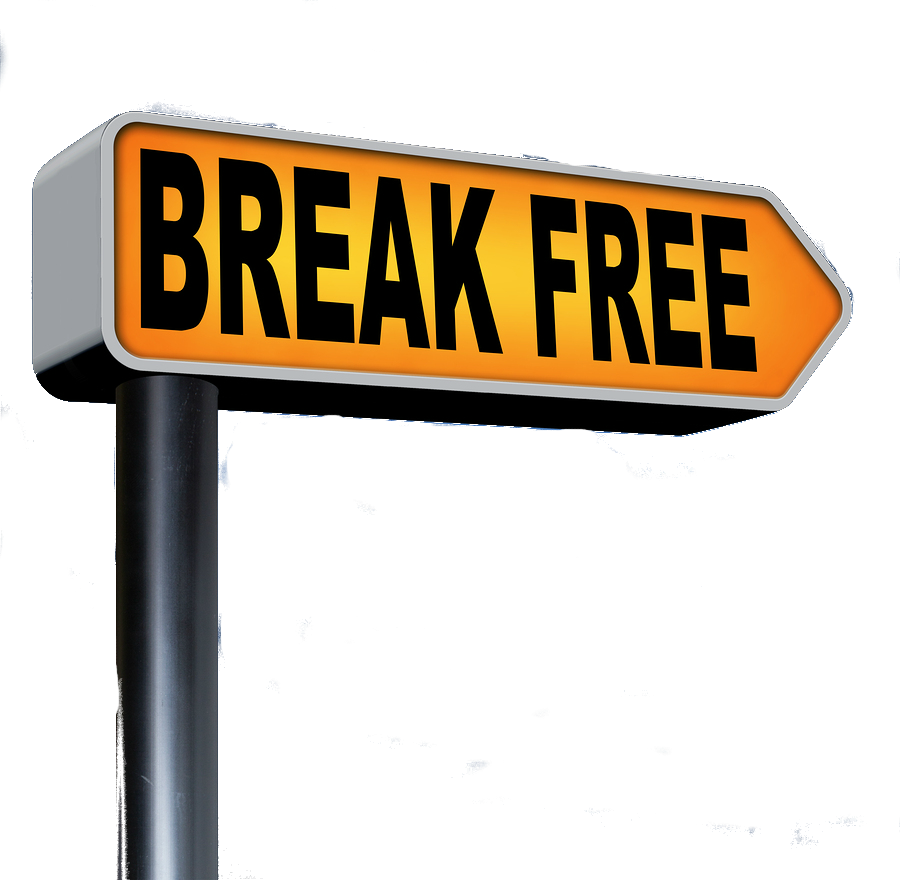 Becoming Success In Spite of Criticism