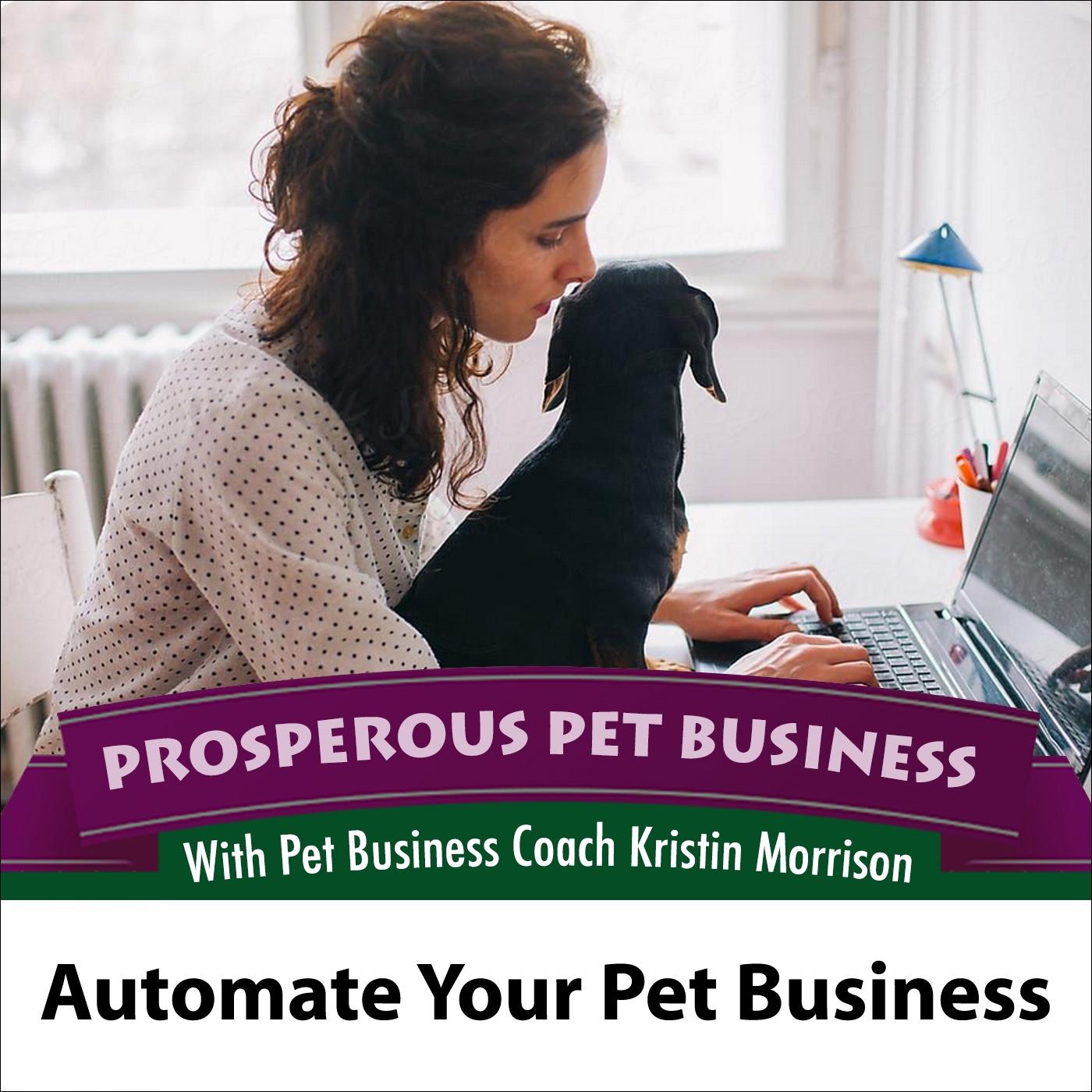 Prosperous Pet Business