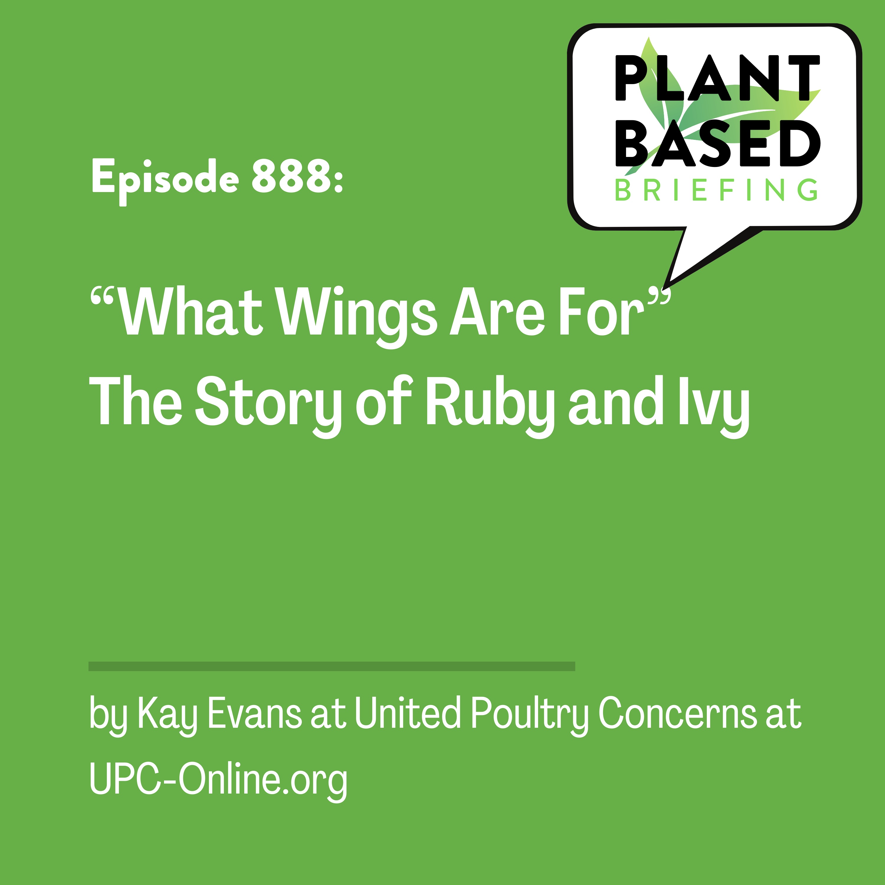 Plant Based Briefing