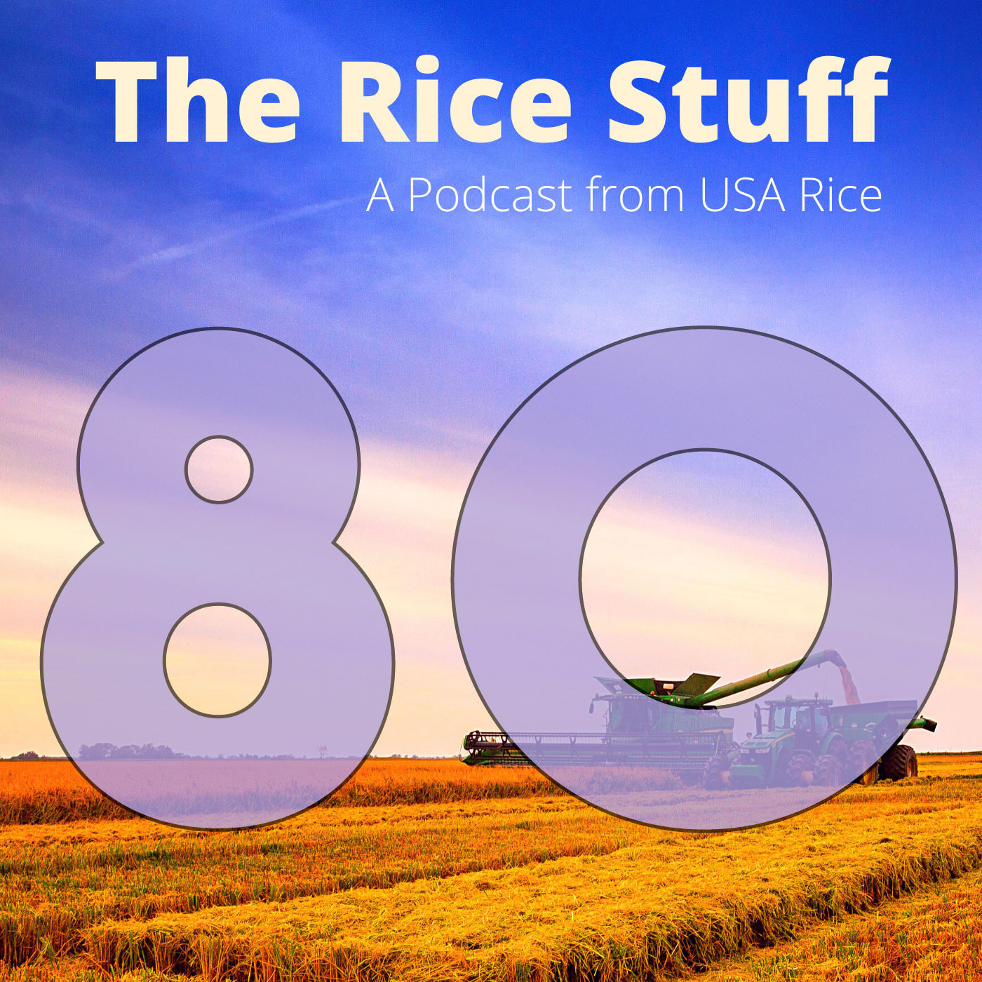 The Rice Stuff