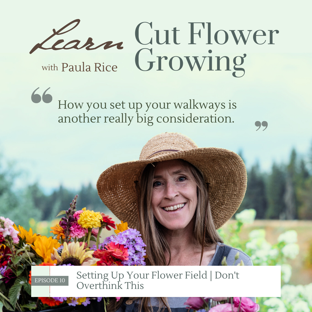 cover of episode 010: Setting Up Your Flower Field | Don't Overthink This