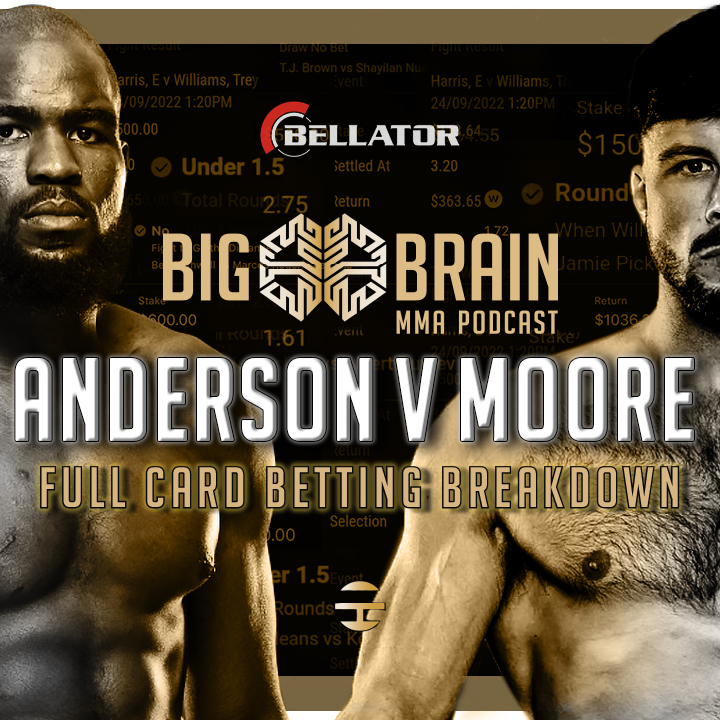 Big Brain MMA Podcast