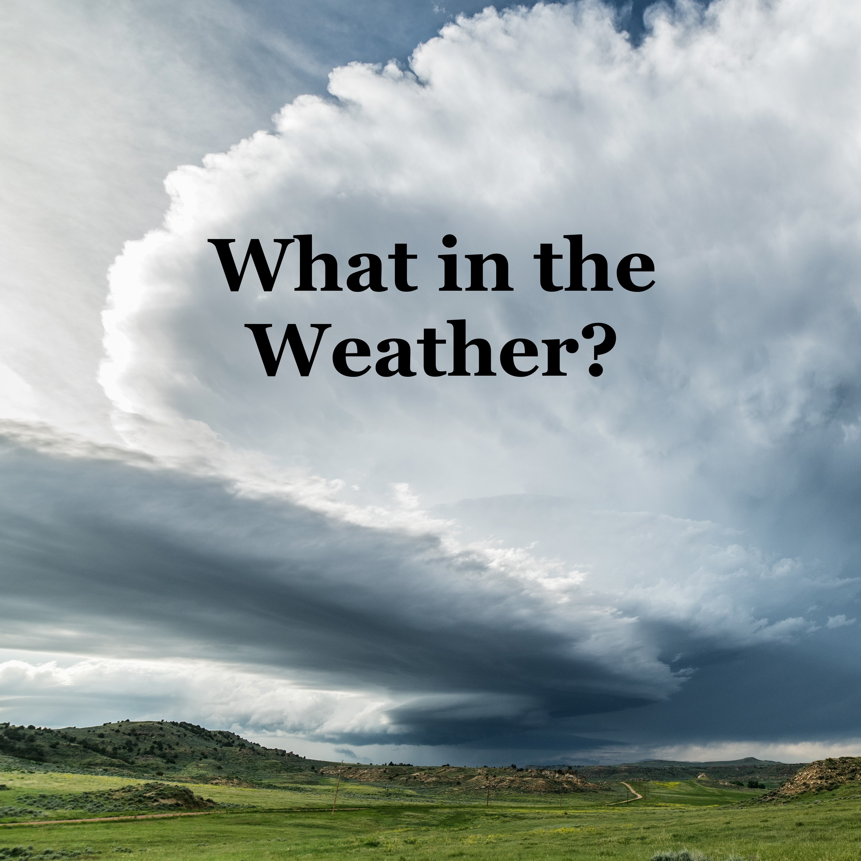 What in the Weather?