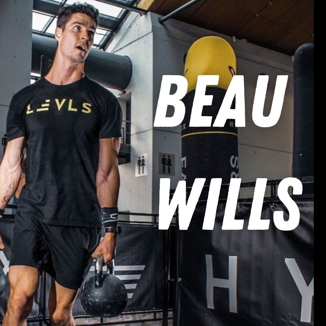 Beau Wills - Hybrid Dive