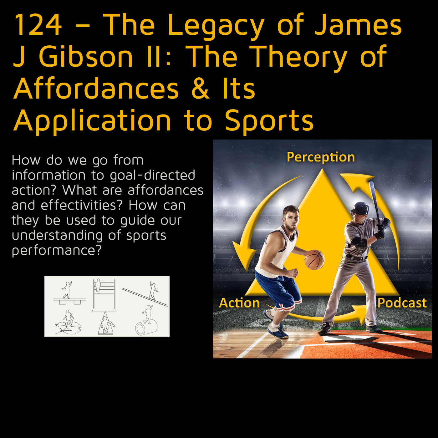 The Perception & Action Podcast