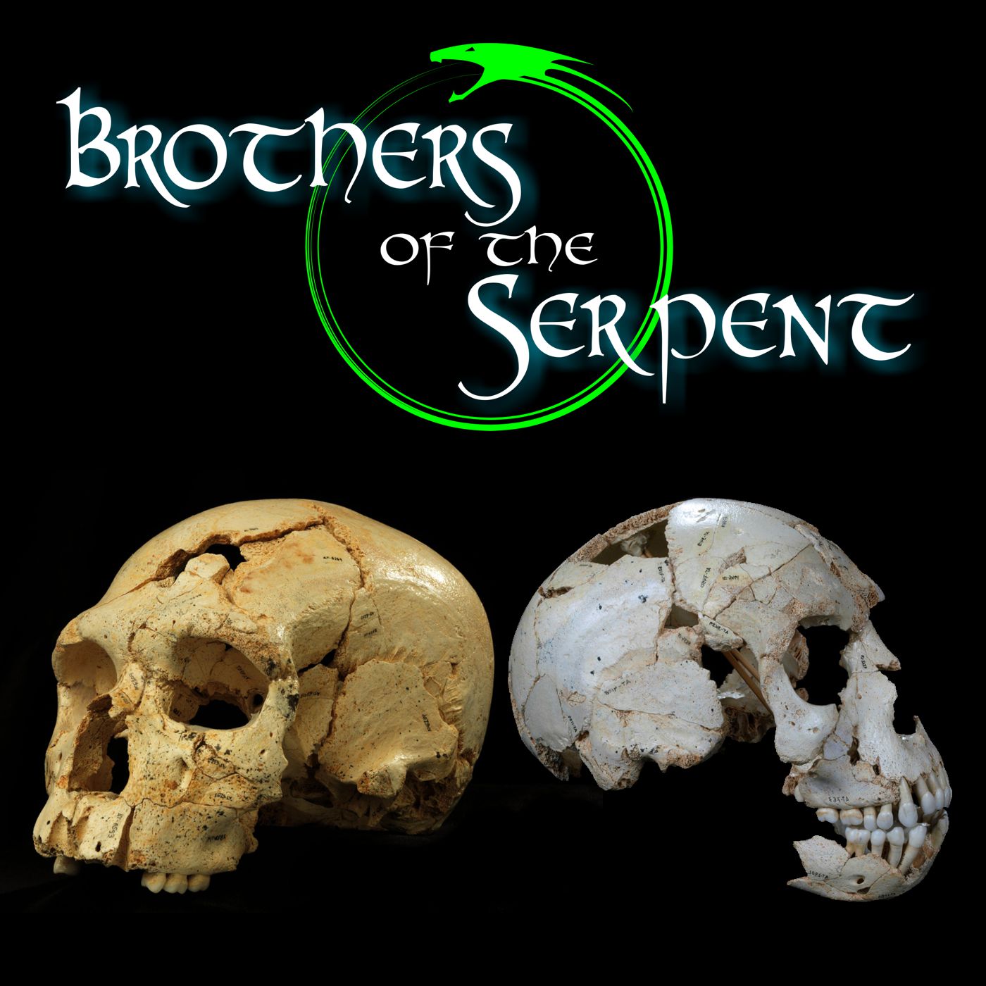Episode Logo