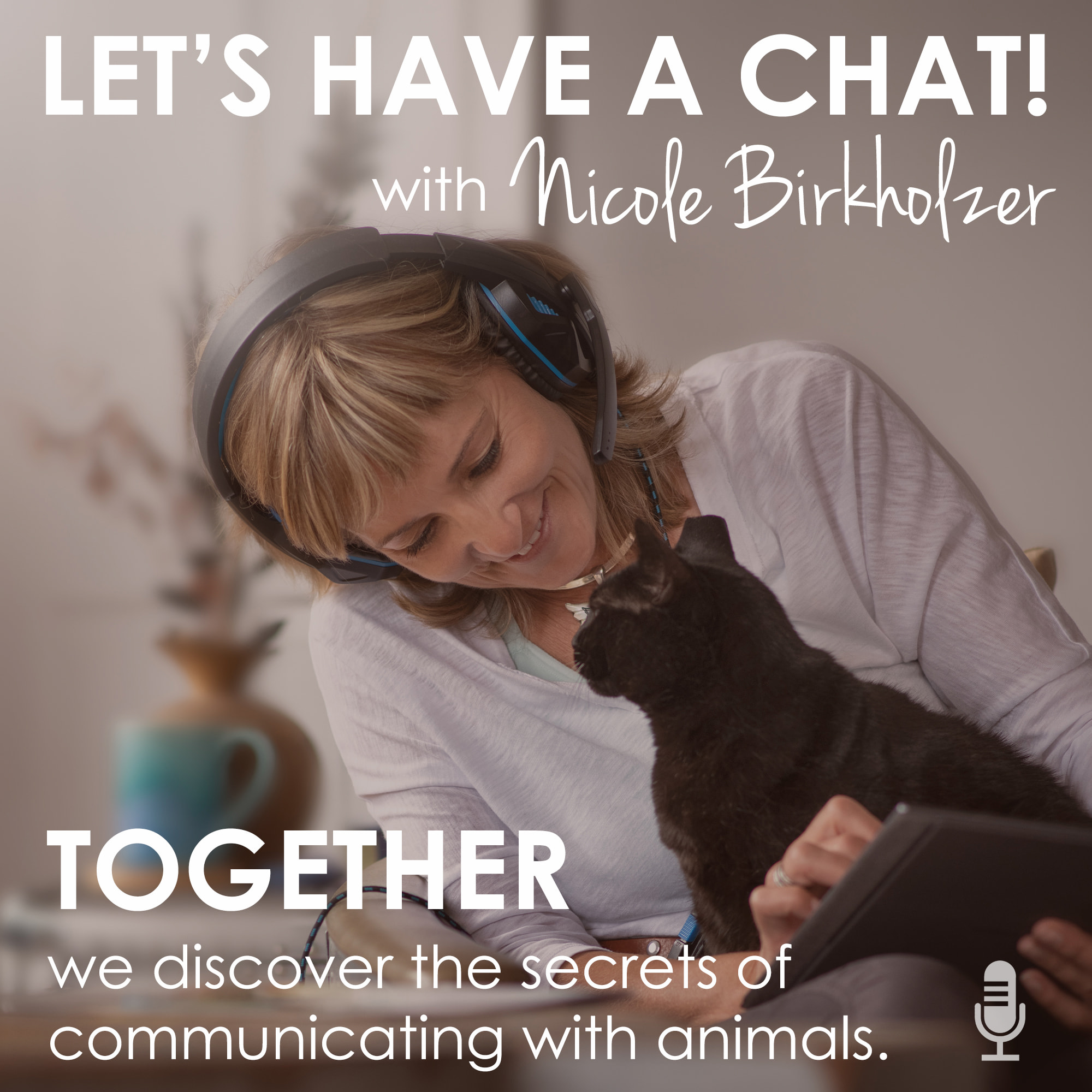 Let\'s Have A Chat!