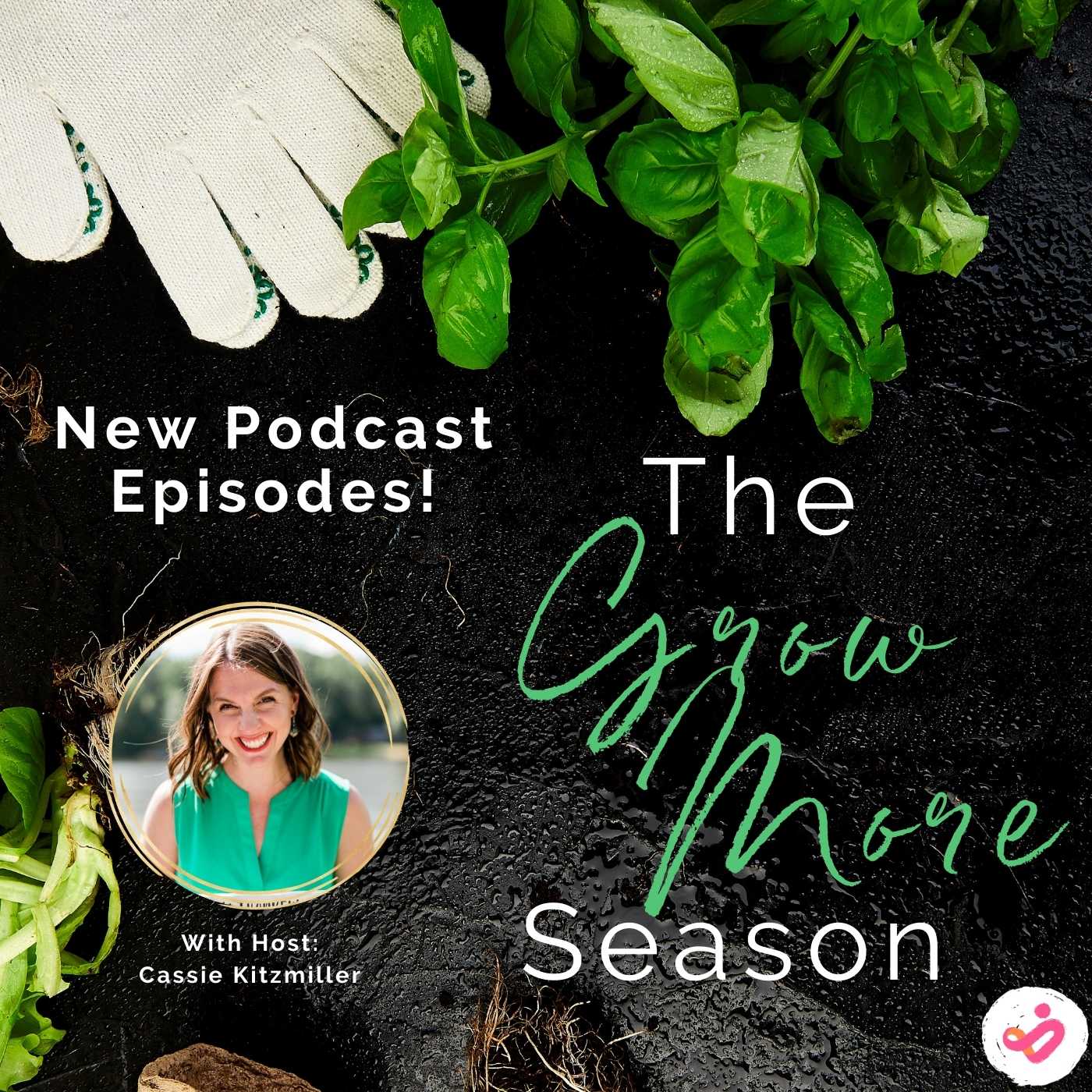 3 Simple Strategies to GROW More in 24' - Ep4