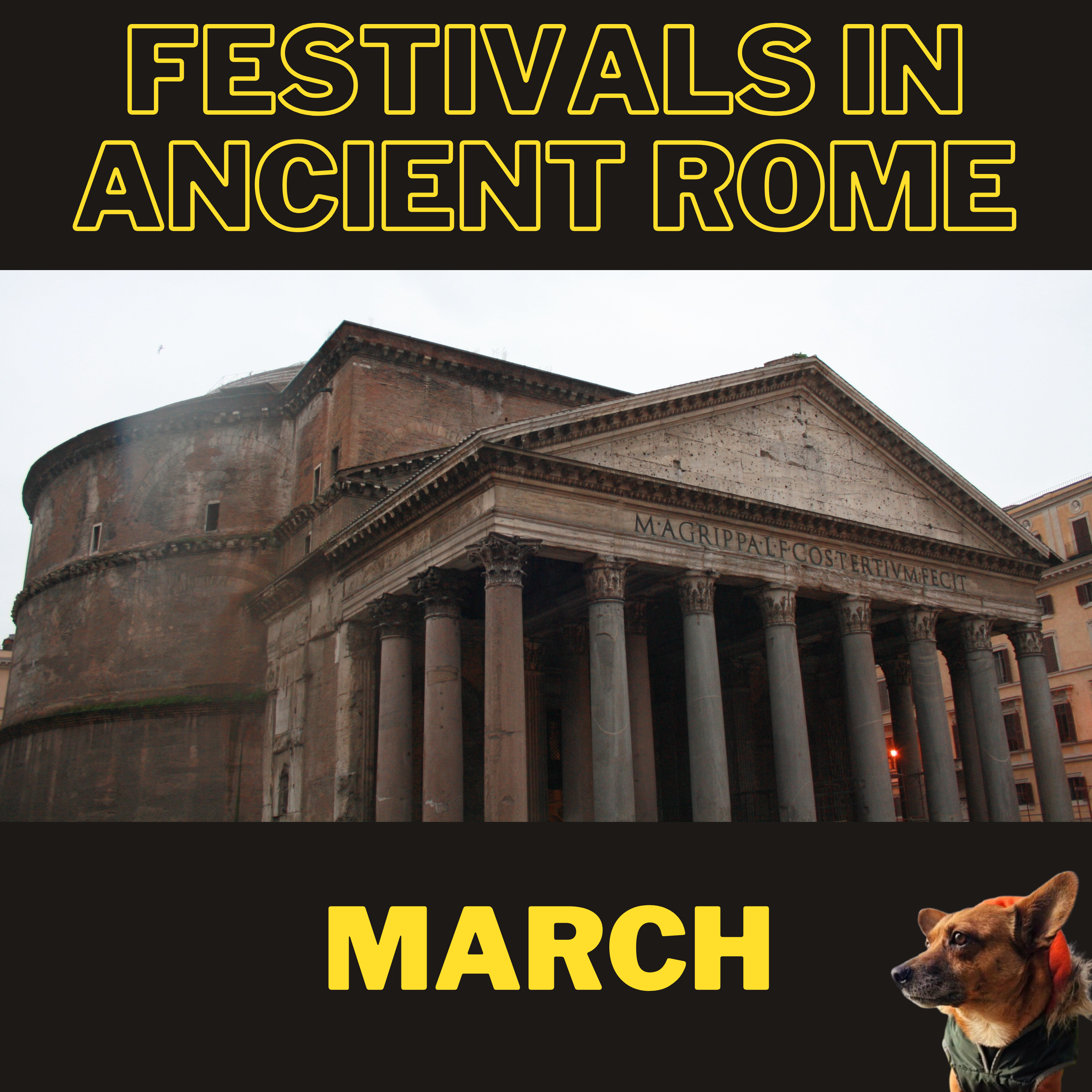 Ancient History Hound