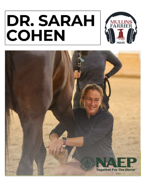 Dr. Sarah Cohen Re-Release