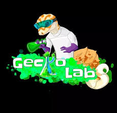 Session Twenty-Three: Unique Species, Geckos, and Conservation With Dillon Damuth of Gecko Labs