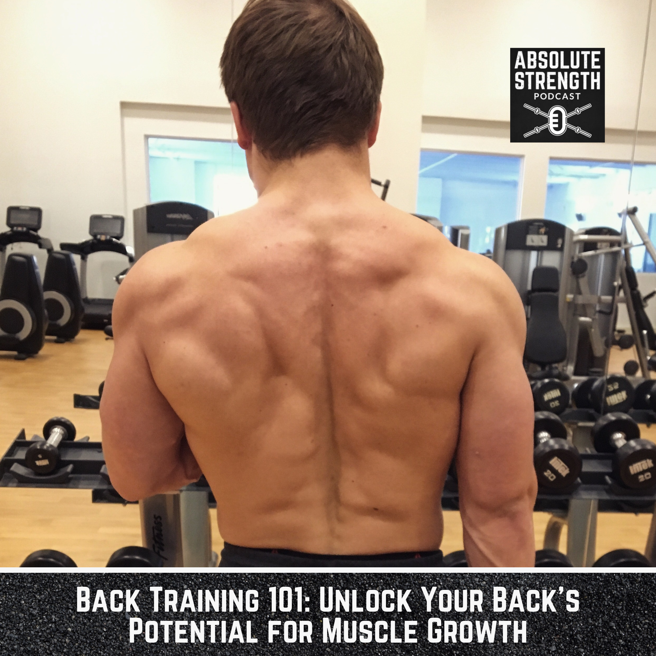 Back Training 101: Unlock Your Back's Potential for Muscle Growth