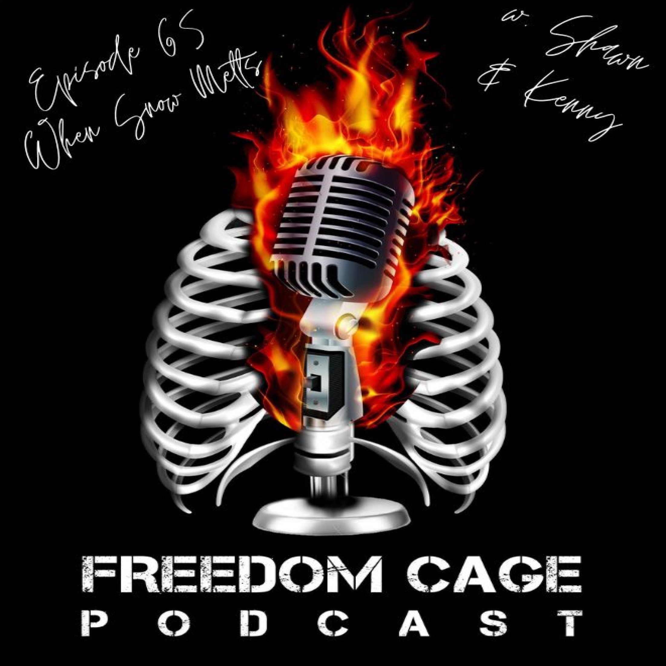 Freedom Cage Podcast