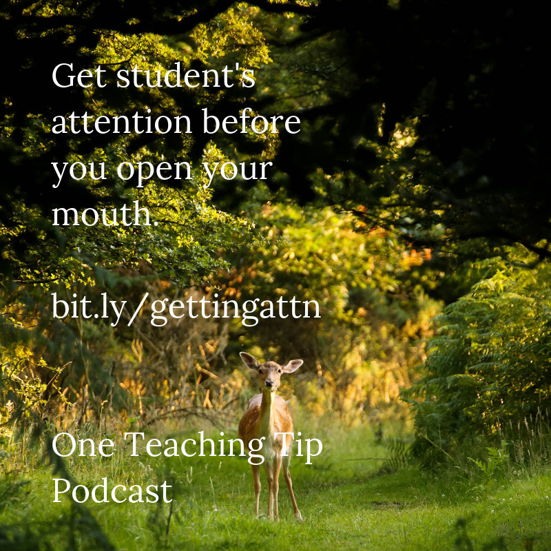 One Teaching Tip
