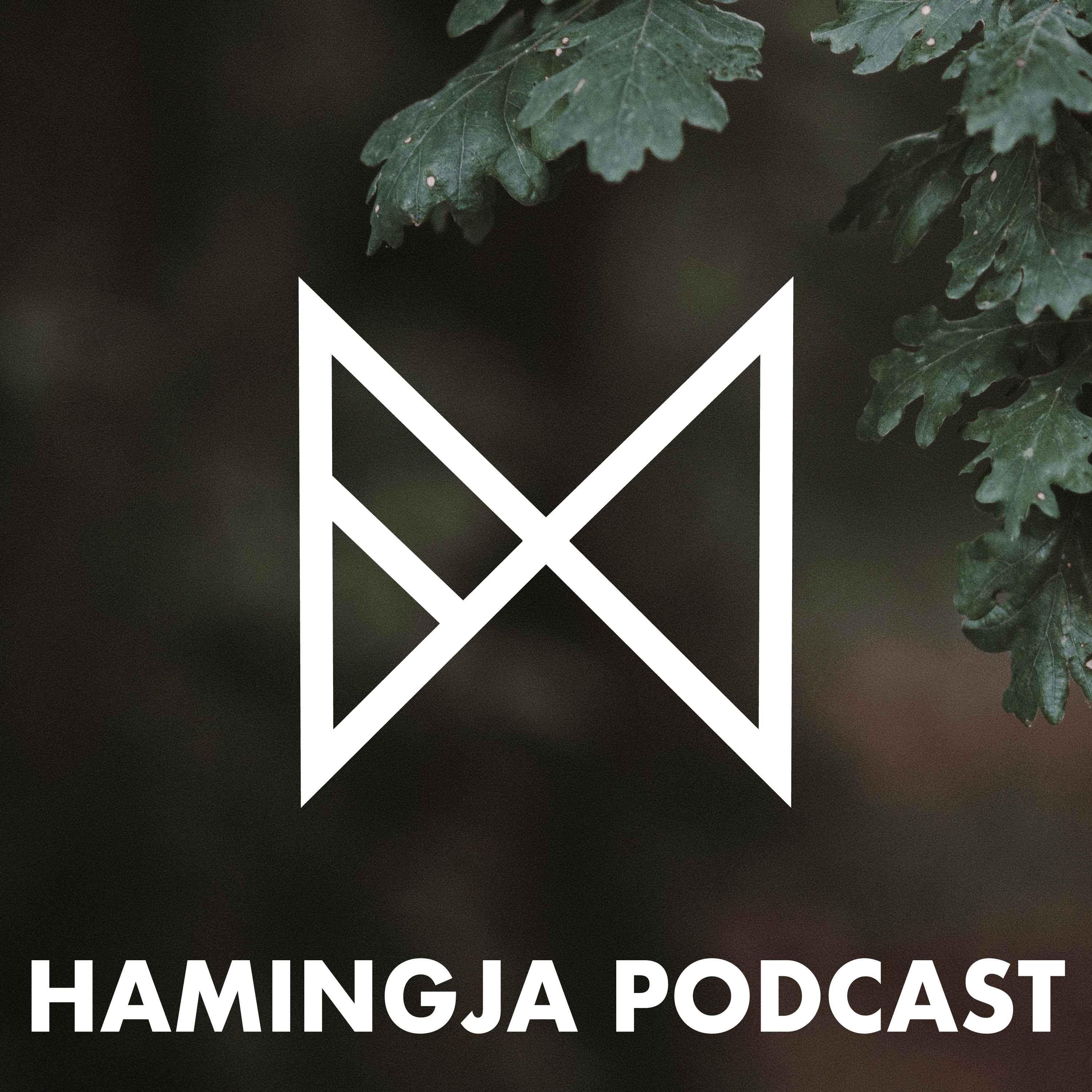 Episode Logo