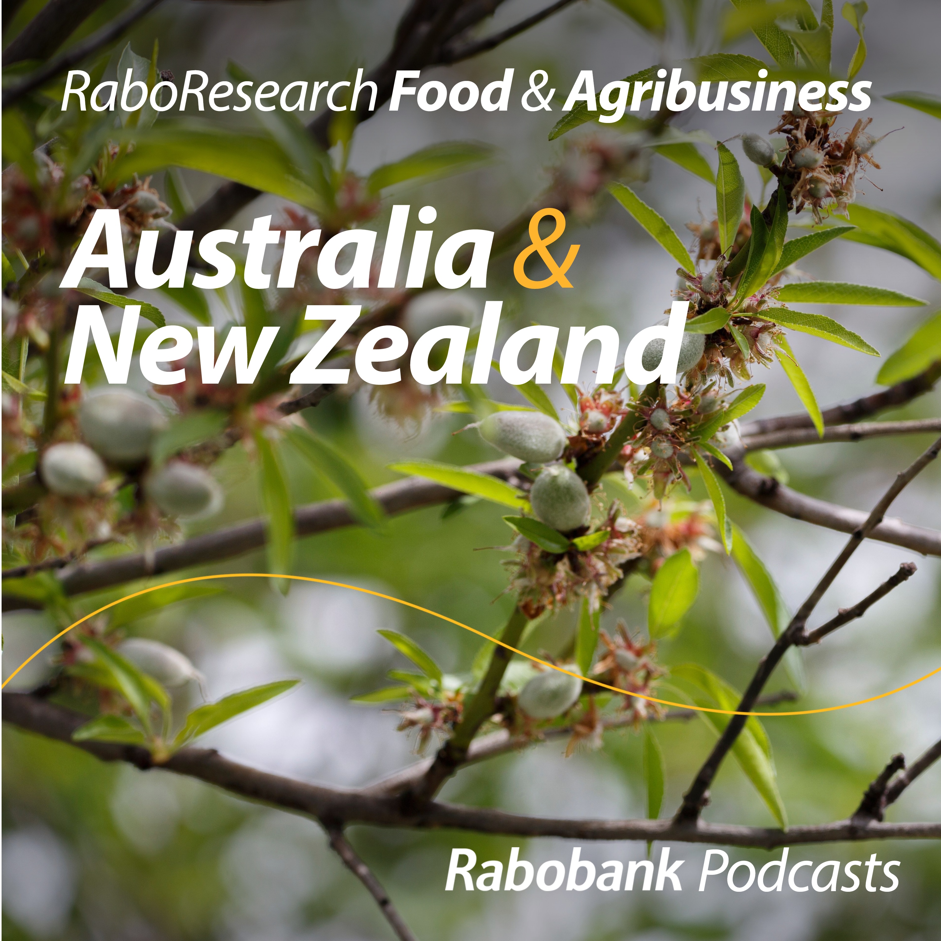 Australian almond outlook – Replanting for growth beyond 2030