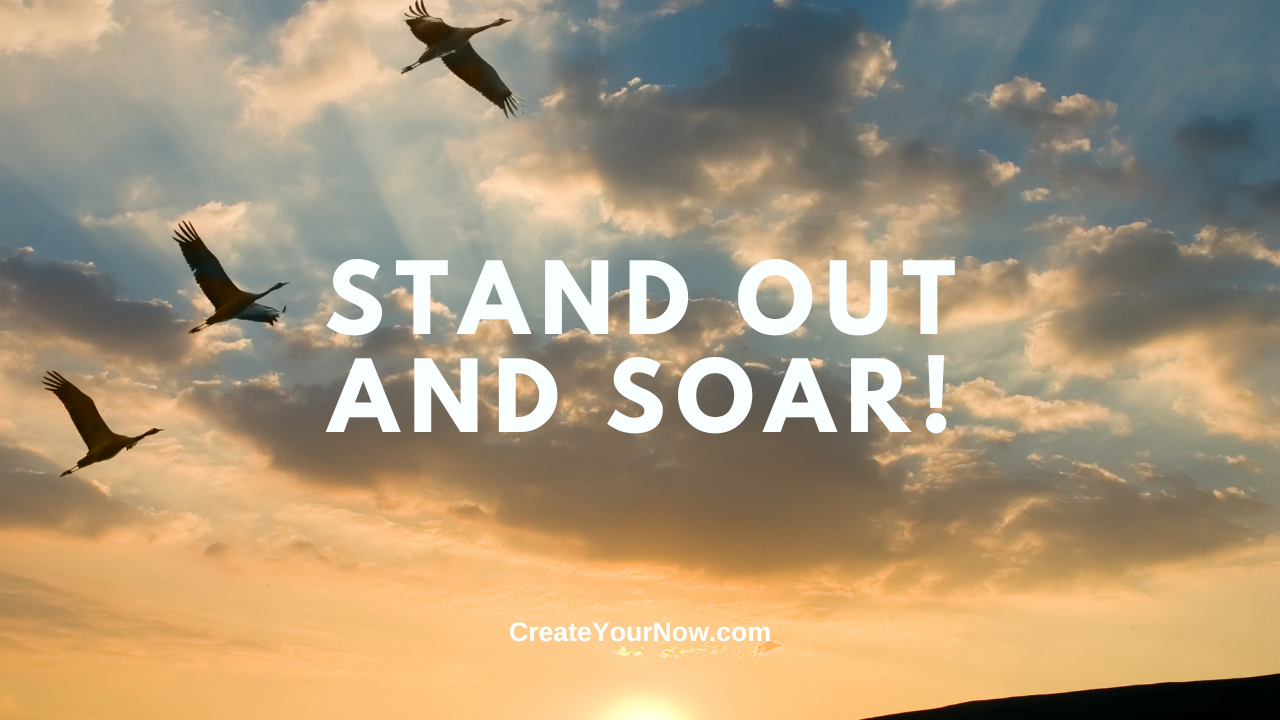 3726 Stand Out and Soar!