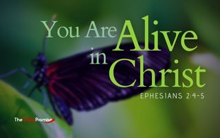 The Daily Promise