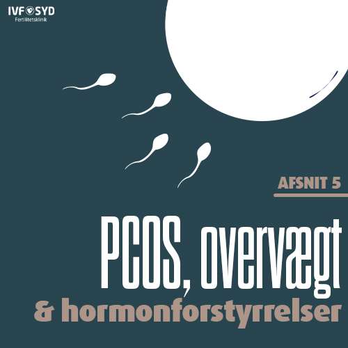 PCOS, overvægt & hormonforstyrrelser