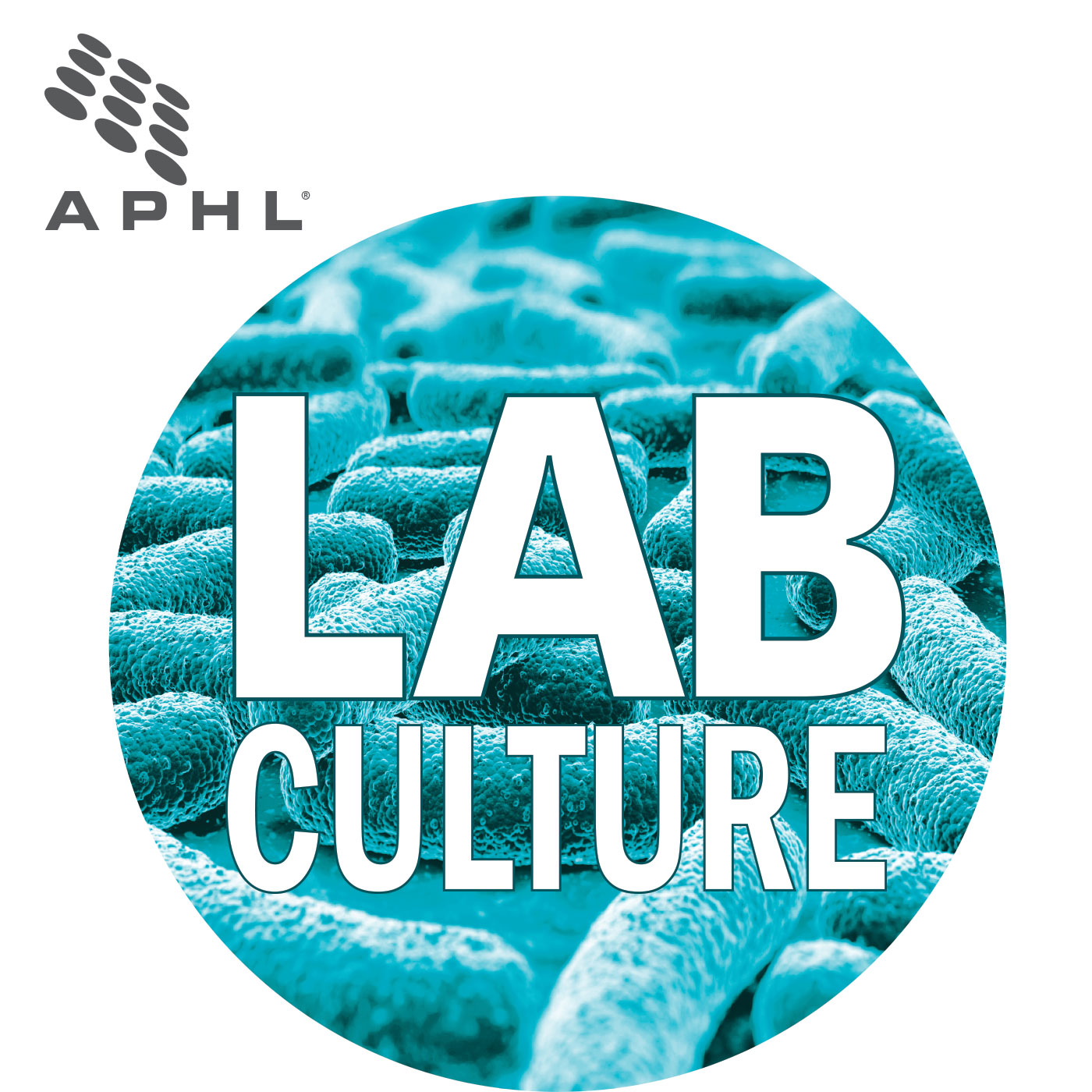 Lab Culture