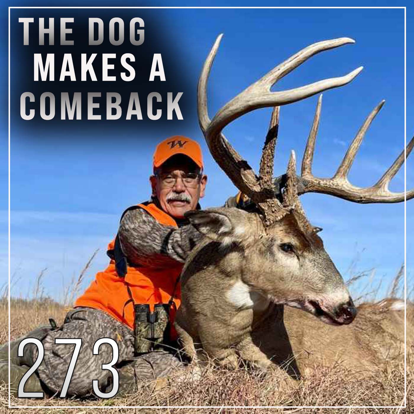 The Dog Makes His TV Comeback! EP - 273