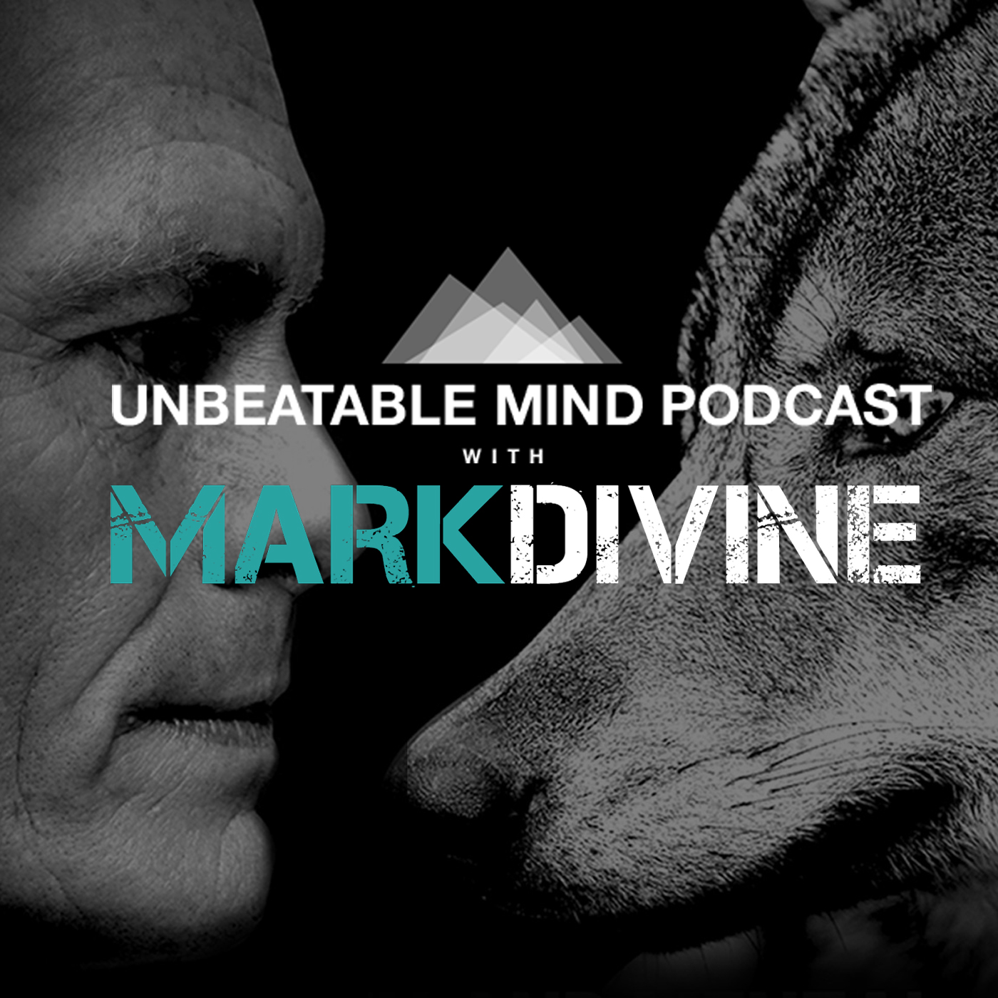 The Mark Divine Show