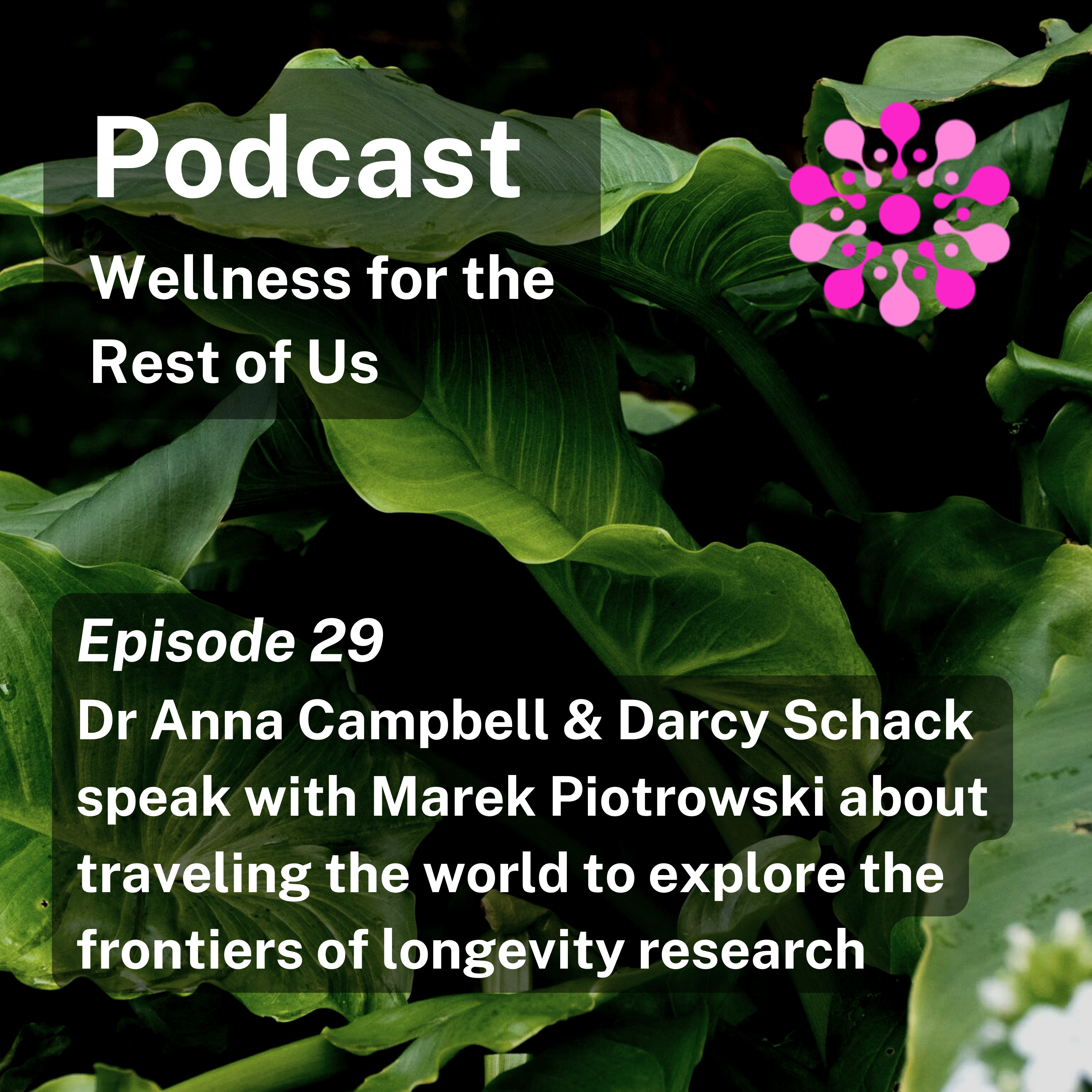 Wellness For The Rest Of US