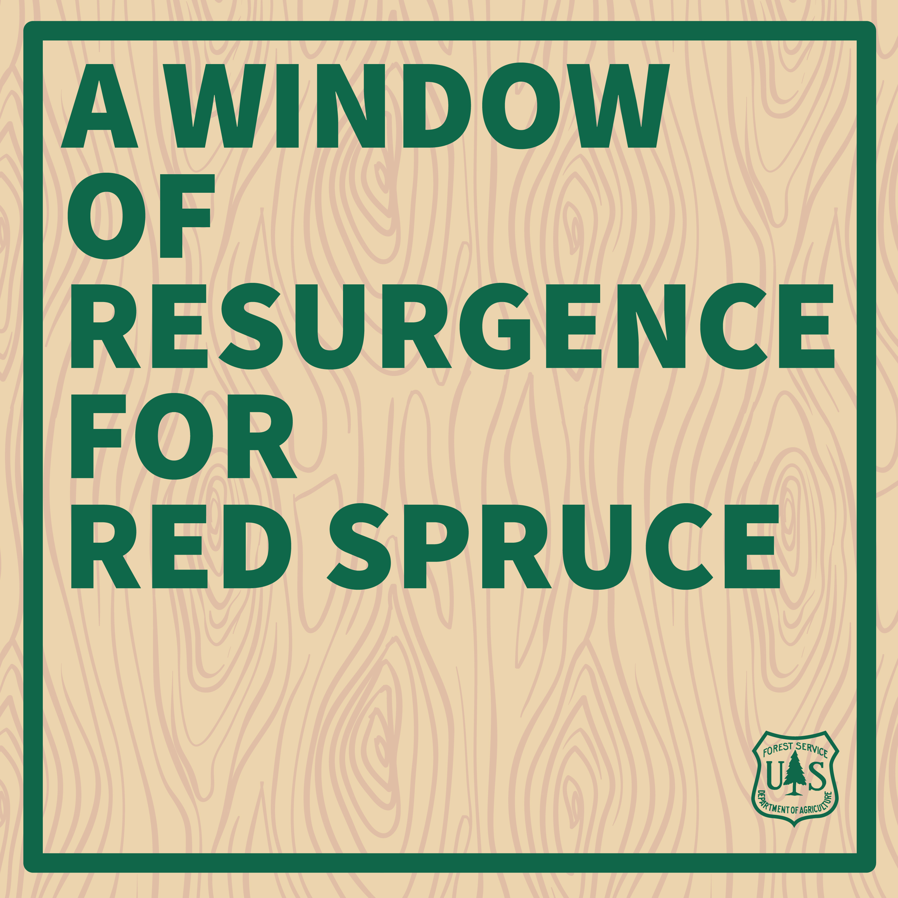 A Window of Resurgence for Red Spruce