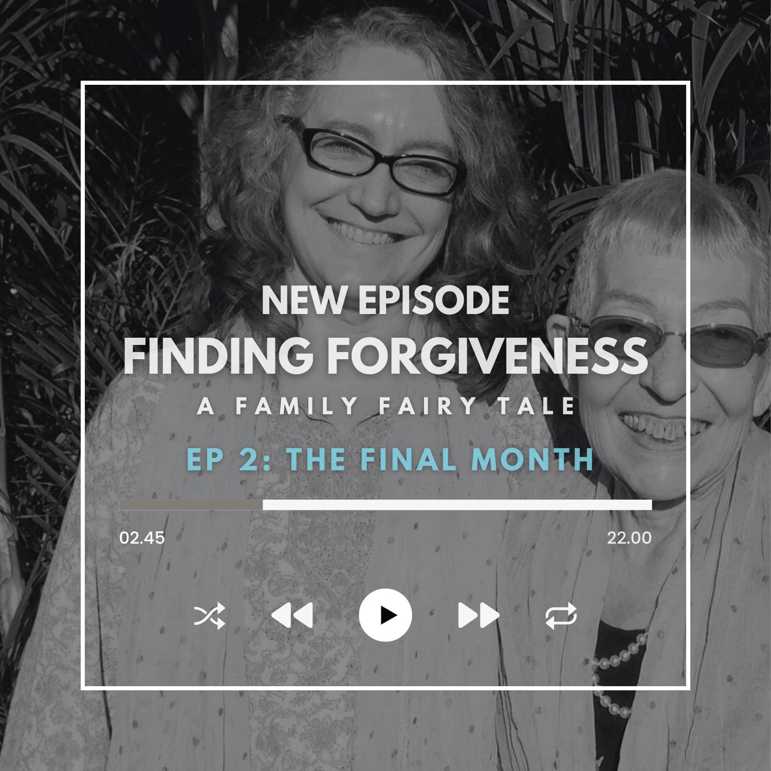 Finding Forgiveness - A Family Fairy Tale