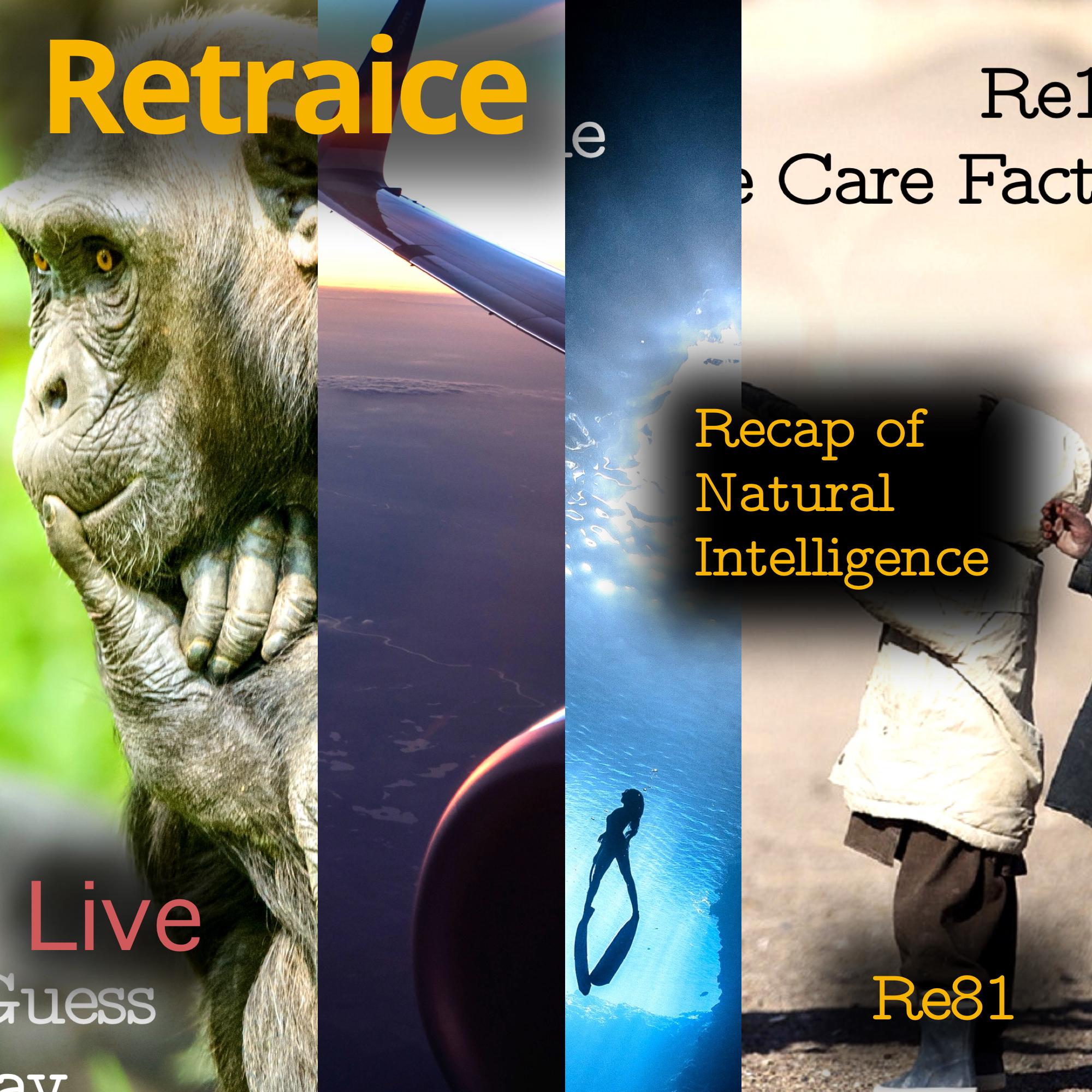 Re81: Recap of Natural Intelligence (Re10–Re13)