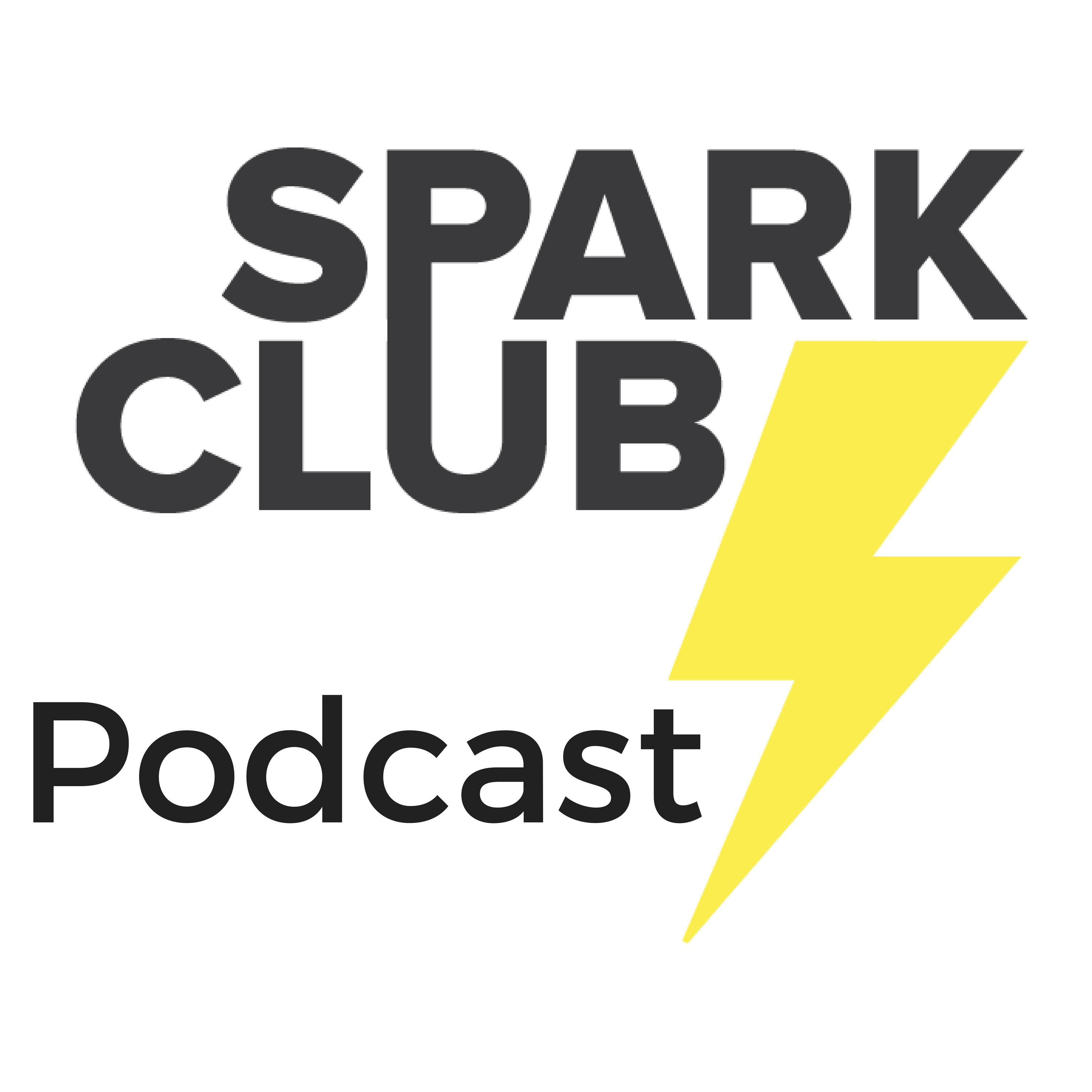 Lithium Battery Ecosystem Podcast