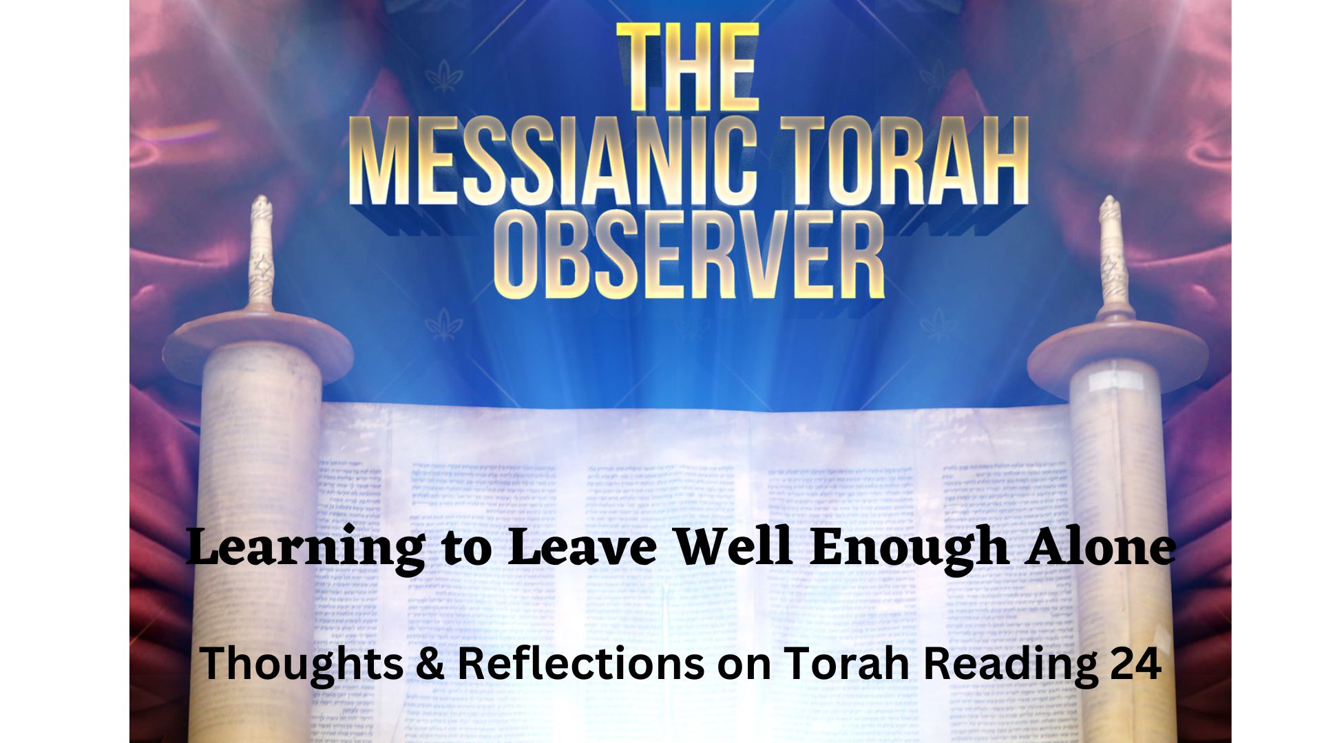 Learning to Leave Well Enough Alone-Thoughts and Reflections on Torah Reading 24
