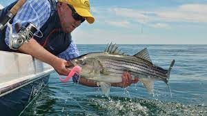Saltwater Edge Podcast - Sharing Our Passion For Saltwater Fishing