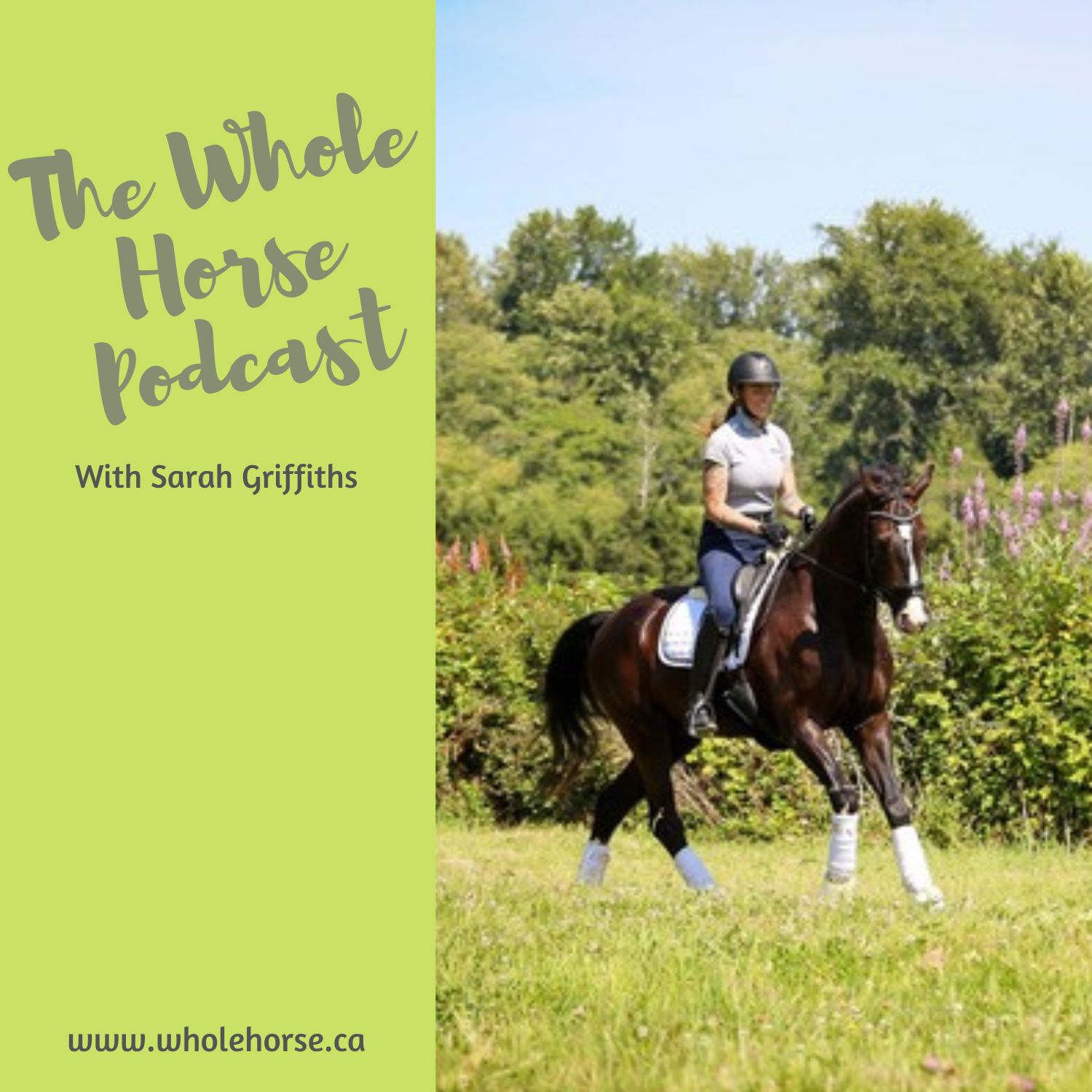 The Whole Horse Podcast with Alexa Linton