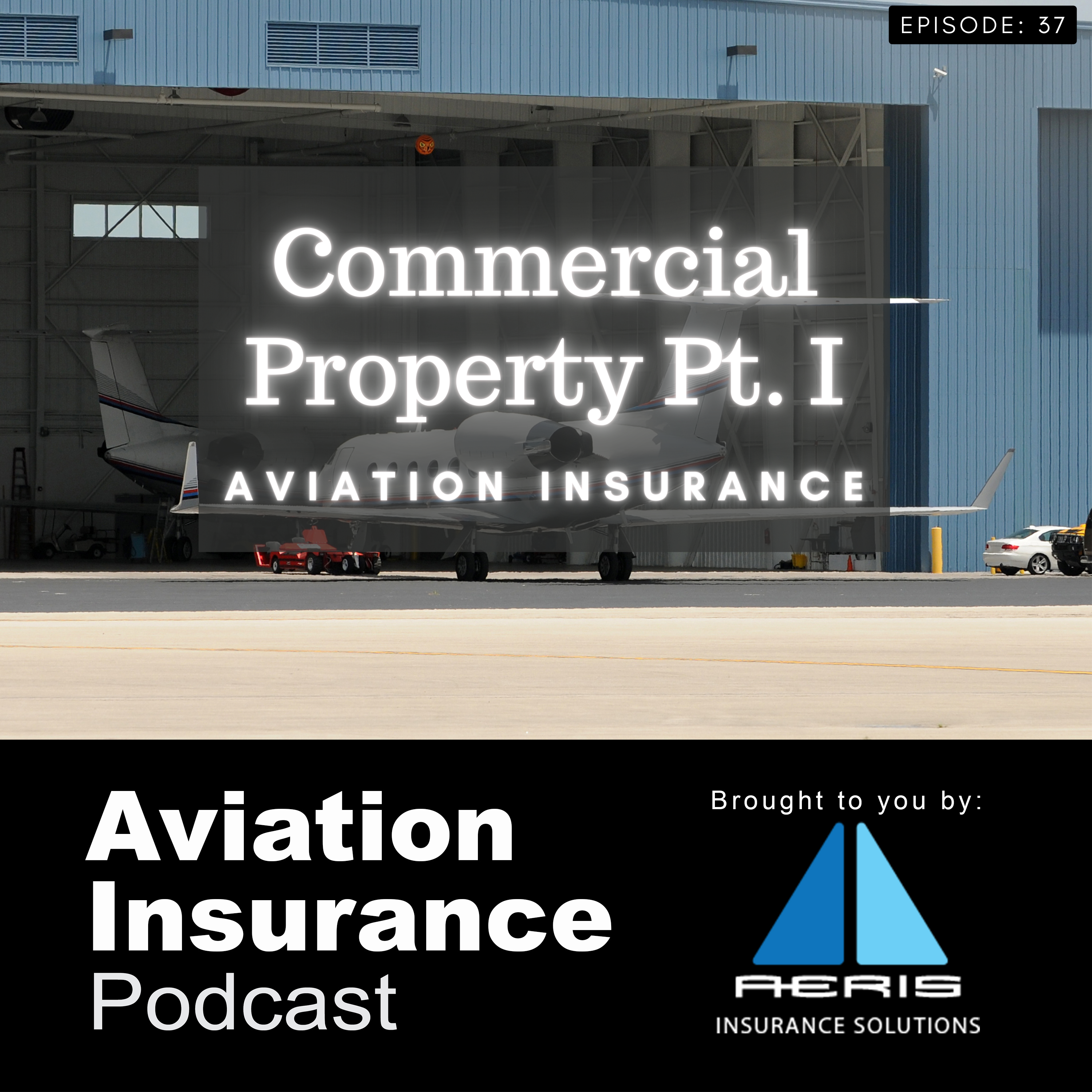 Episode 37: Commercial Property Aviation Insurance Pt. I