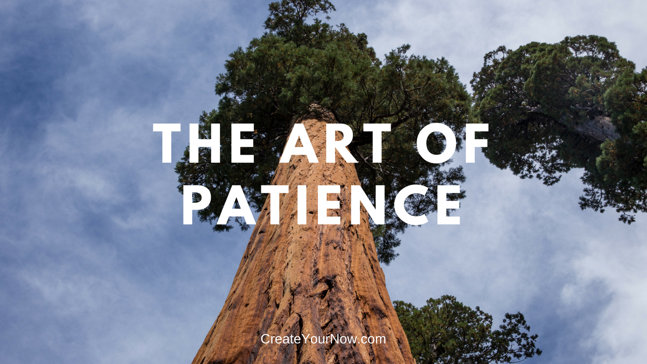 1190 The Art of Patience