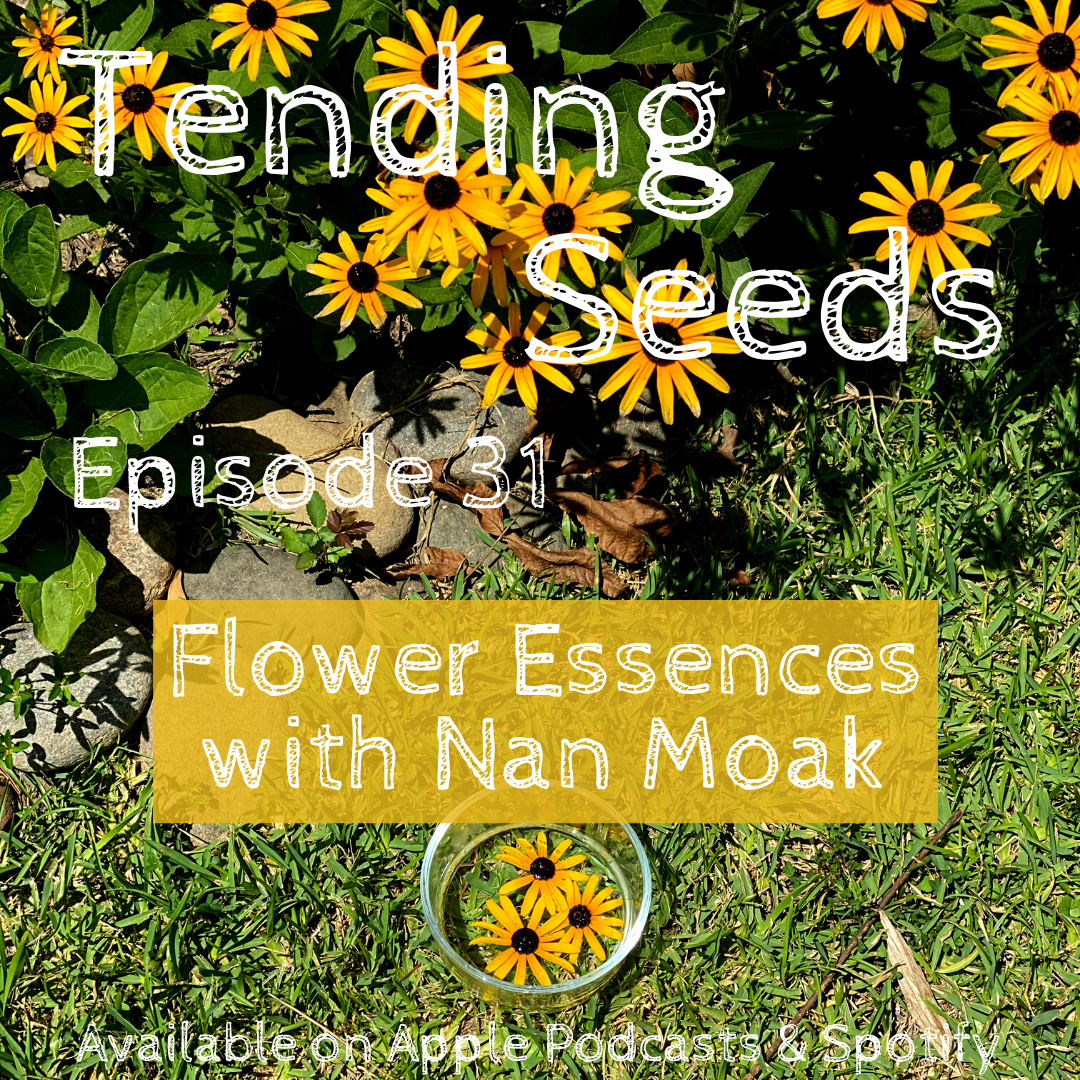 Tending Seeds: Adventures in Gardening, Homesteading, and Herbalism