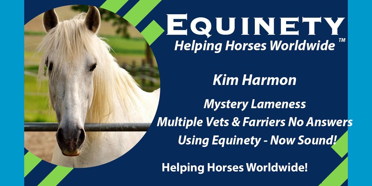 Team Equinety Podcast