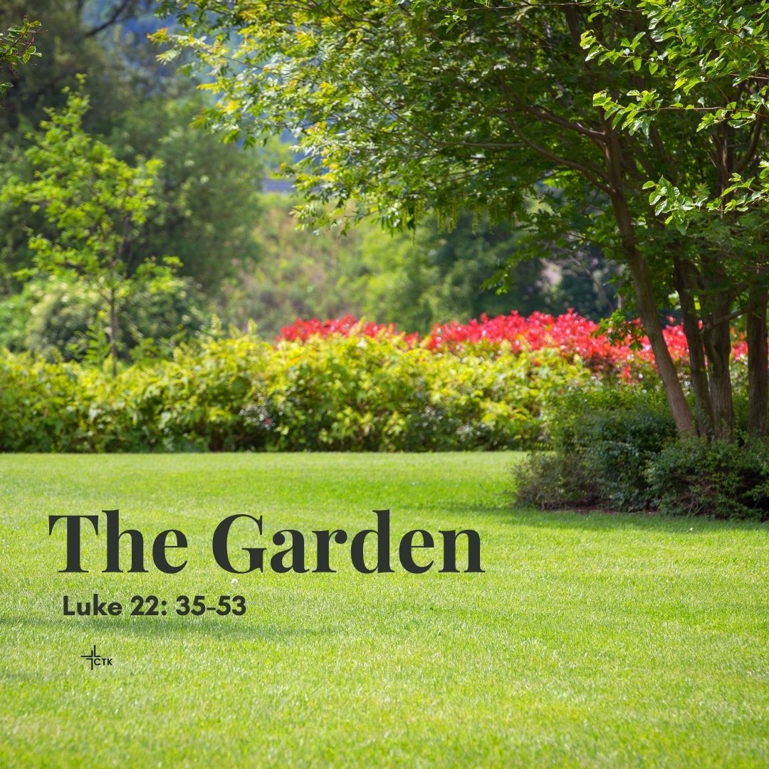 The Garden