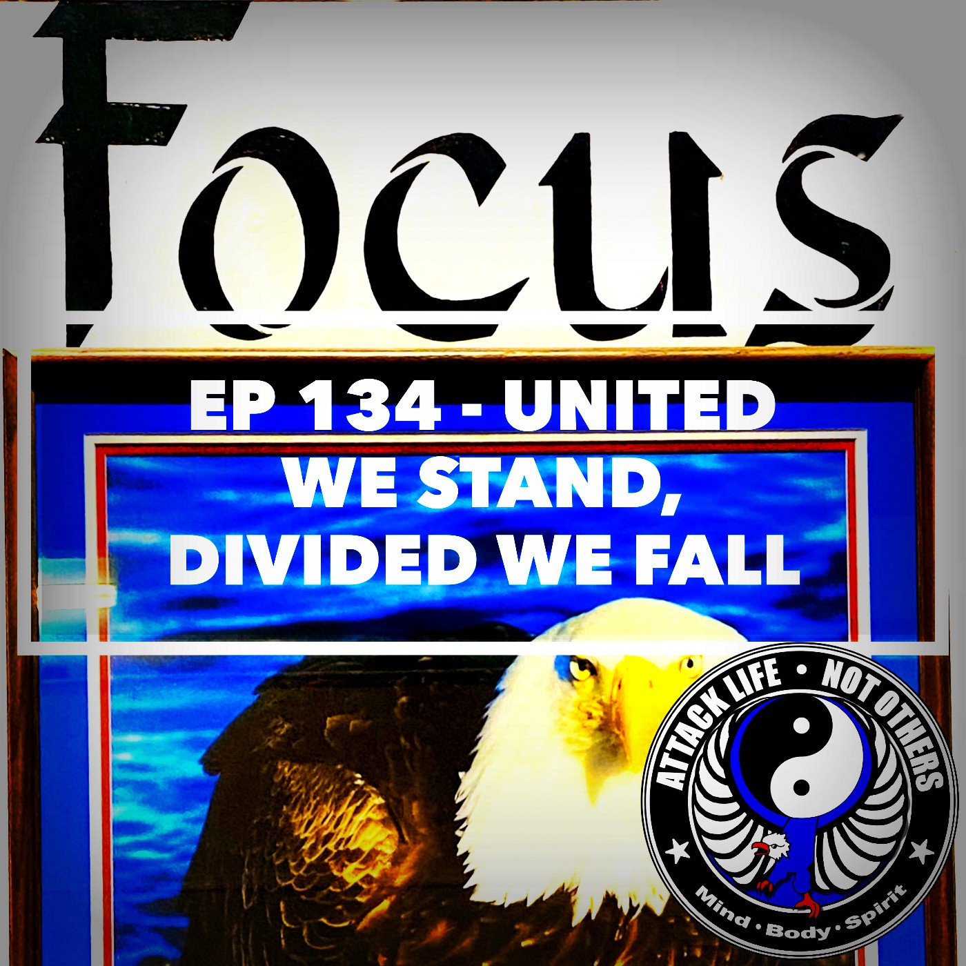 Ep 134 - United We Stand, Divided We Fall