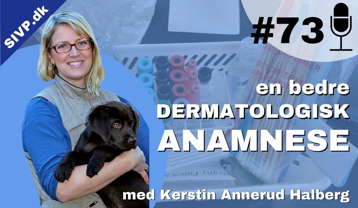 Succes I Veterinær Praksis Podcast - Sammen om at blive bedre