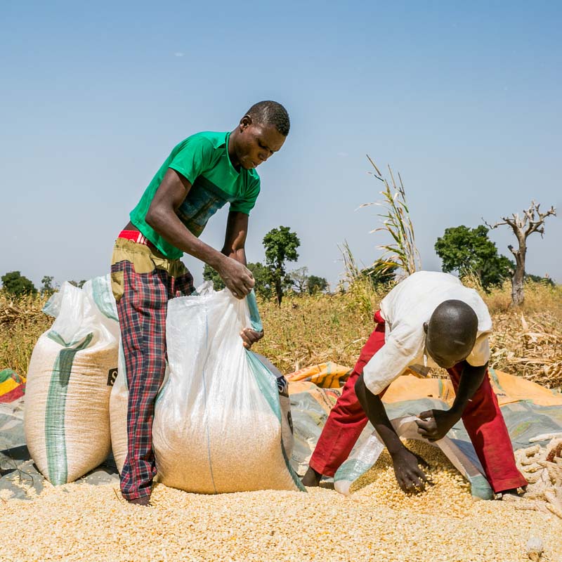 From Plow to Prosperity