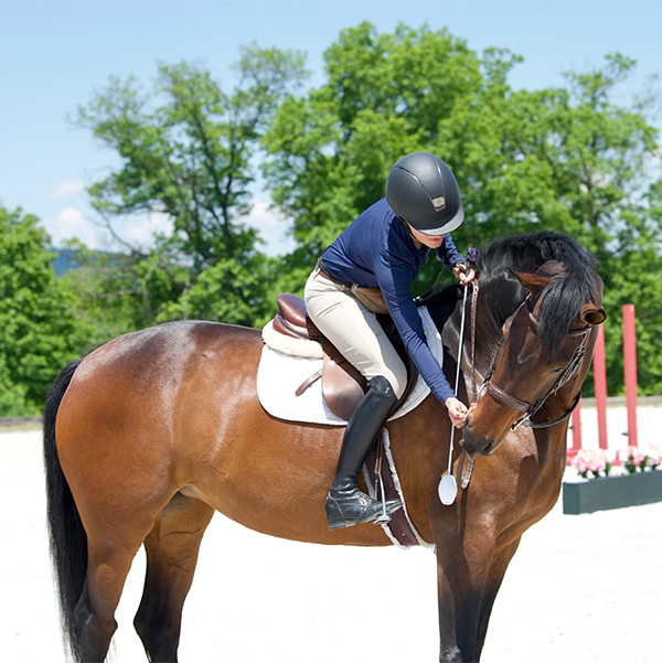 Stall and Stable: Ideas for Happy Horsekeeping