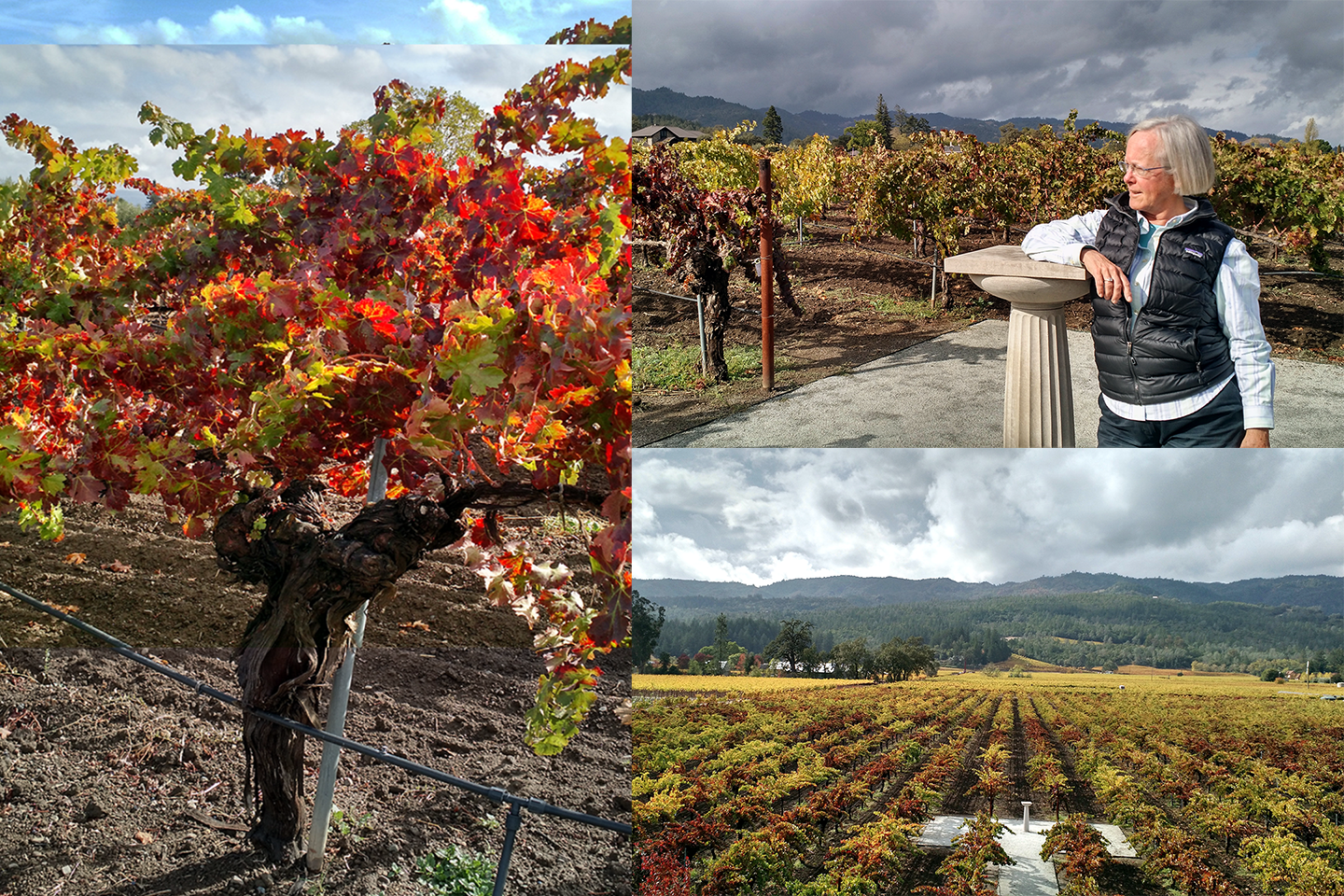 On The Wine Road Podcast