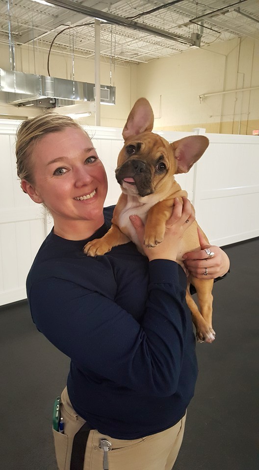 Vermont Dog Trainer Show