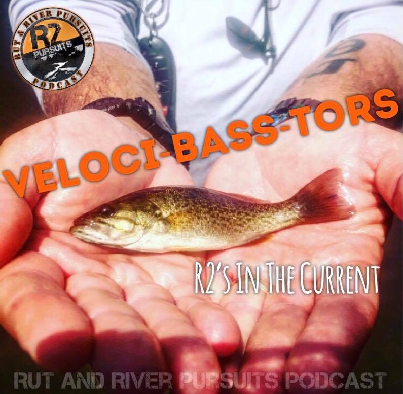 Veloci-Bass-Tors - R2's In the Current