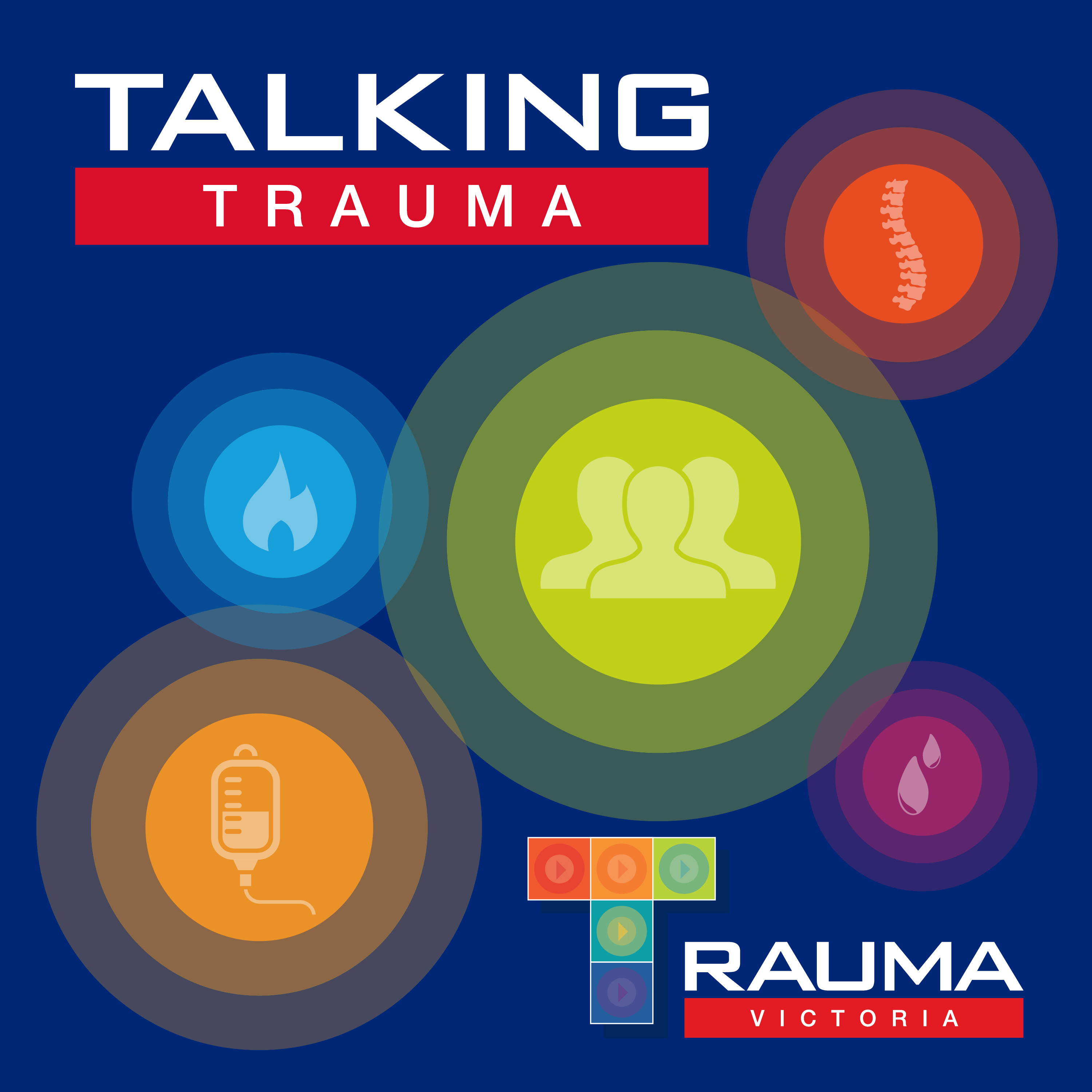 Play The role of the Transport Accident Commission in Trauma